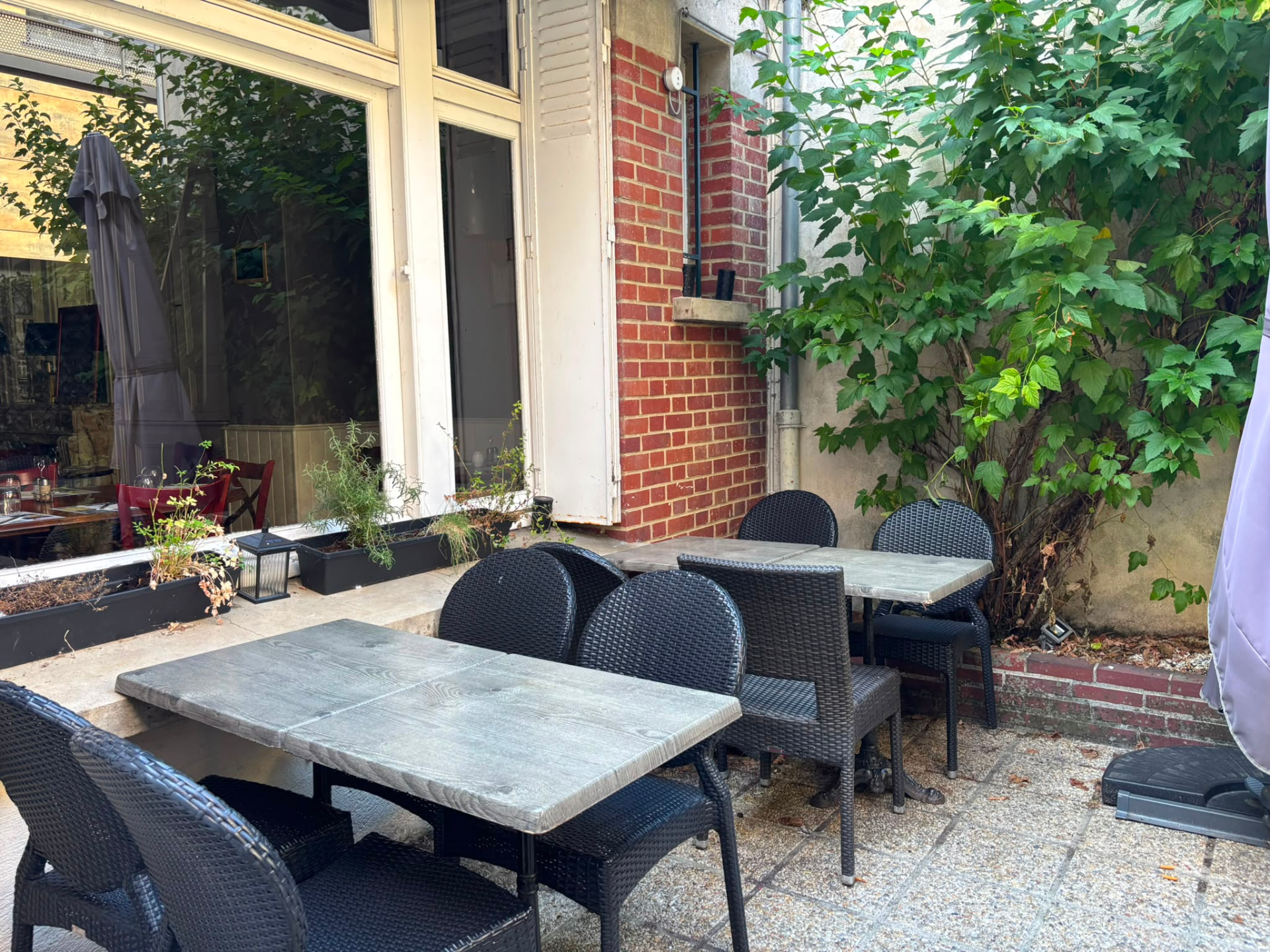 Patio extérieur verdoyant et ses tables